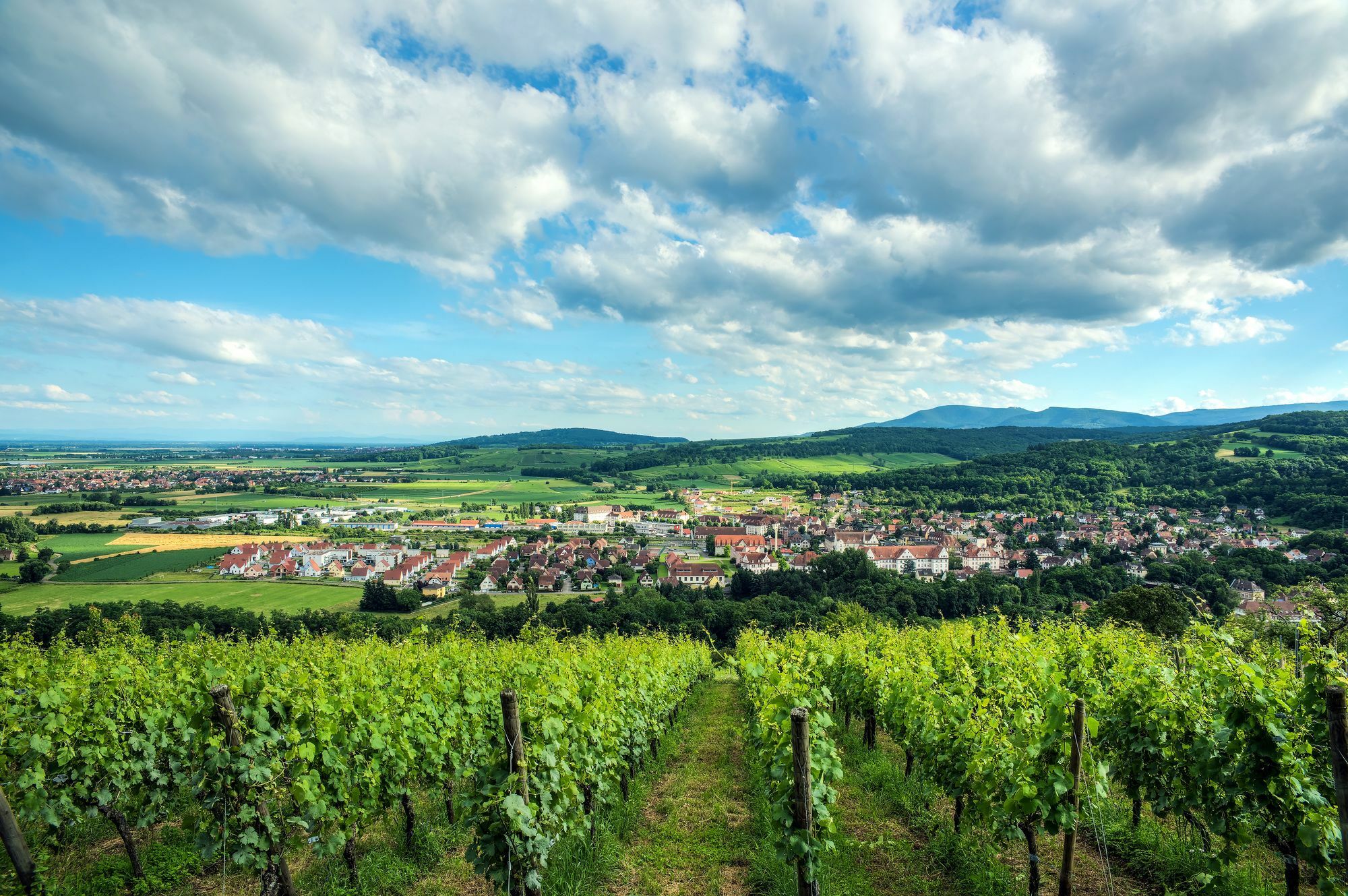 Comfort Aparthotel Mutzig Portes D'Alsace Dış mekan fotoğraf